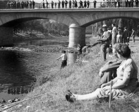 Concours de pêche