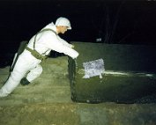 p1 Image