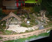 marche de l'étoile 19.12.2003 00029