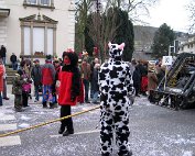 Cavalcade 26.2.2006 0001