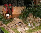 IMG_4851