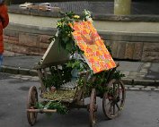 IMG_1664