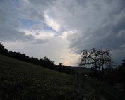 Donnerwieder 13.5.2007 0009