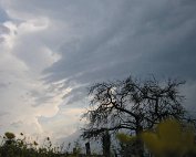 Donnerwieder 13.5.2007 0011