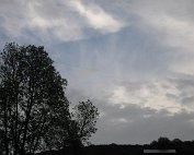 Donnerwieder 13.5.2007 0019