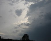 Donnerwieder 13.5.2007 0026