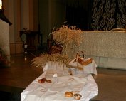 IMG_0101
