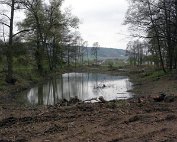 Beim Weier 15.4.2012 0003