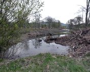 Beim Weier 15.4.2012 0015