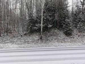 Schnéi 24.1.2015