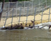 A Bridge Too Far 5.6.2016 011