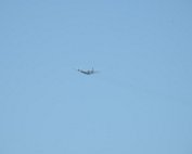 Fliger 23.6.2016 012