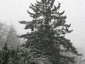 Diekirch 14.1.2016