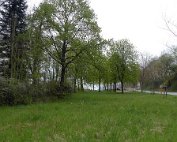 Natur15.4.2017 007