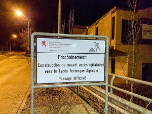 Scheld 21.1.2017