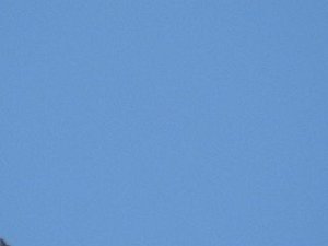 Horgaensen 18.2.2019