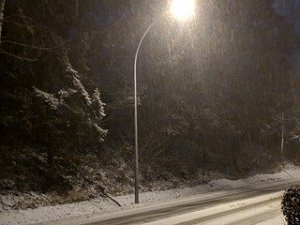 Schnéi 22.1.2019
