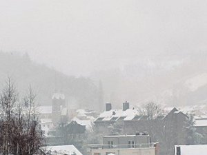 Schnéi 30.1.2019