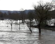 Diekirch 10.4.2021 038