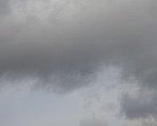 Kranich 19.2.2021 004