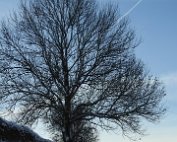 Natur 15.1.2021 021