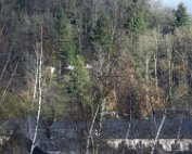 Dikrich 19.2.2022 0003