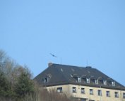 Dikrich 27.2.2022 0006