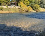 Bréck 2.10.2025 013