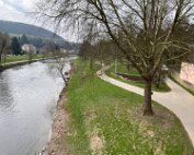Sauer 25.3.2025 0003