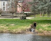 Sauer 25.3.2025 0006